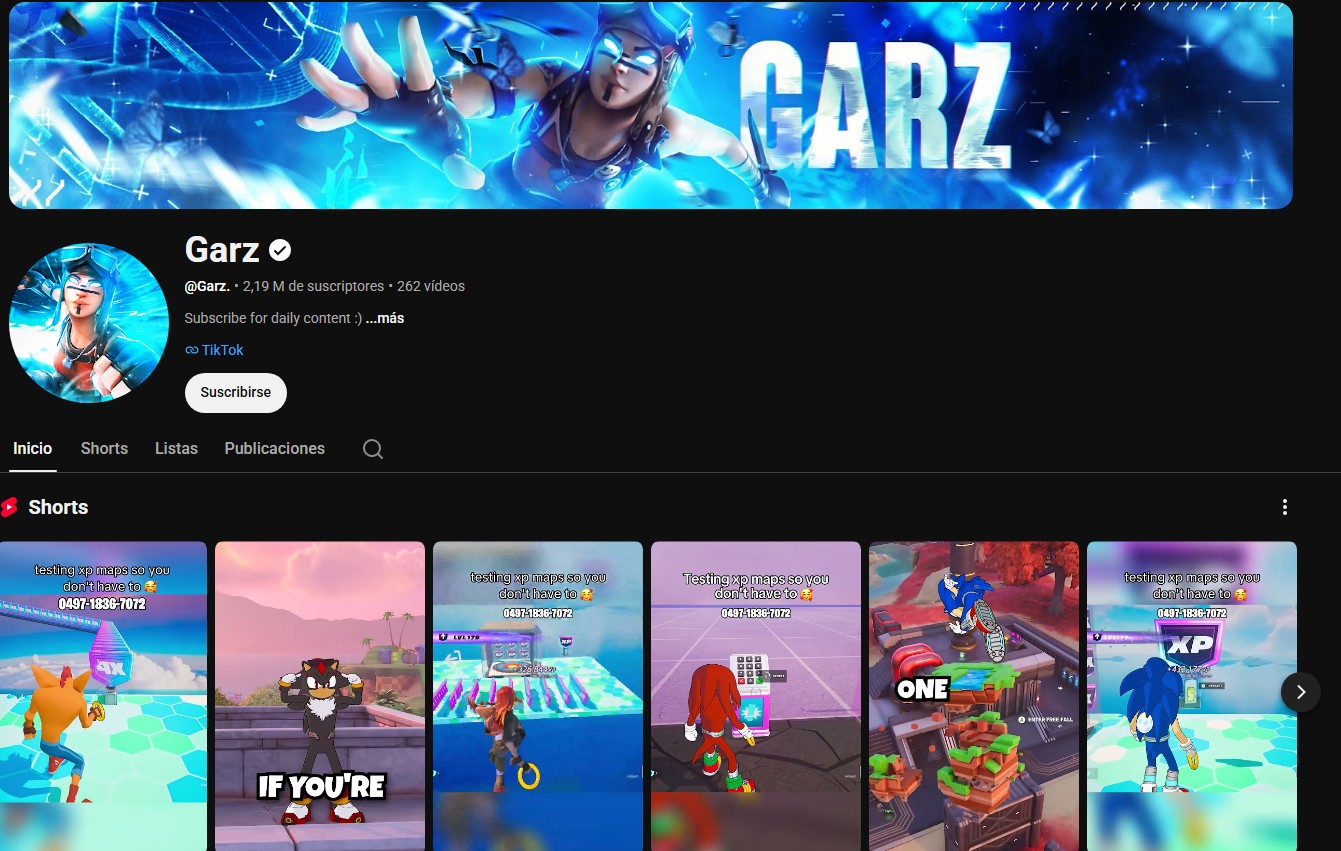 Captura del perfil social de Garz